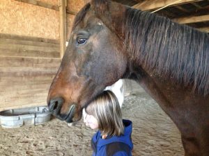 equestrian therapy