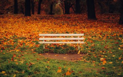 Finding Meaning in Quiet Gratitude (A Thanksgiving Reflection)