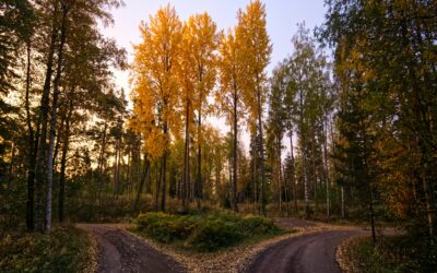 What Is Discernment Counseling — And Is It Right for Your Relationship?